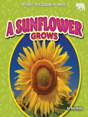 cover image of A Sunflower Grows